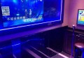 澳门工作老师招聘条件要求（澳门教师职位招聘资格与要求）