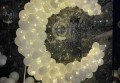 西安寺院招聘文案（西安寺院诚聘：寻找心灵导师的伙伴）